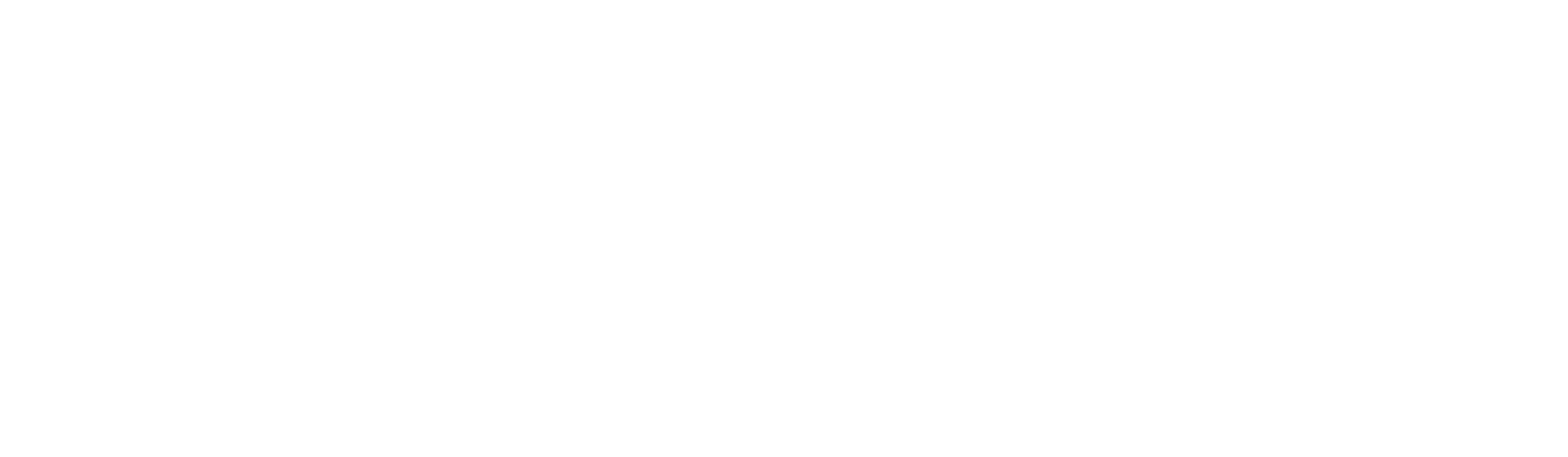 tridicoo logo 01